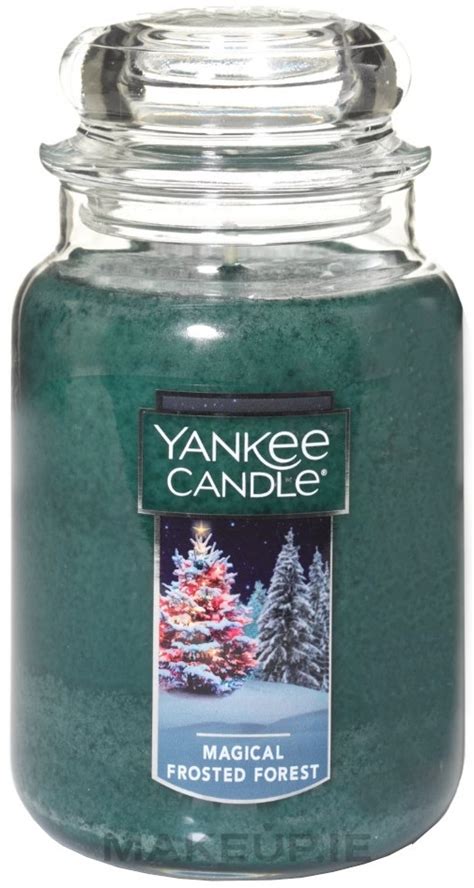 Bring the Outdoors In with Yankee Candle's Magical Frosty Wilderness Collection